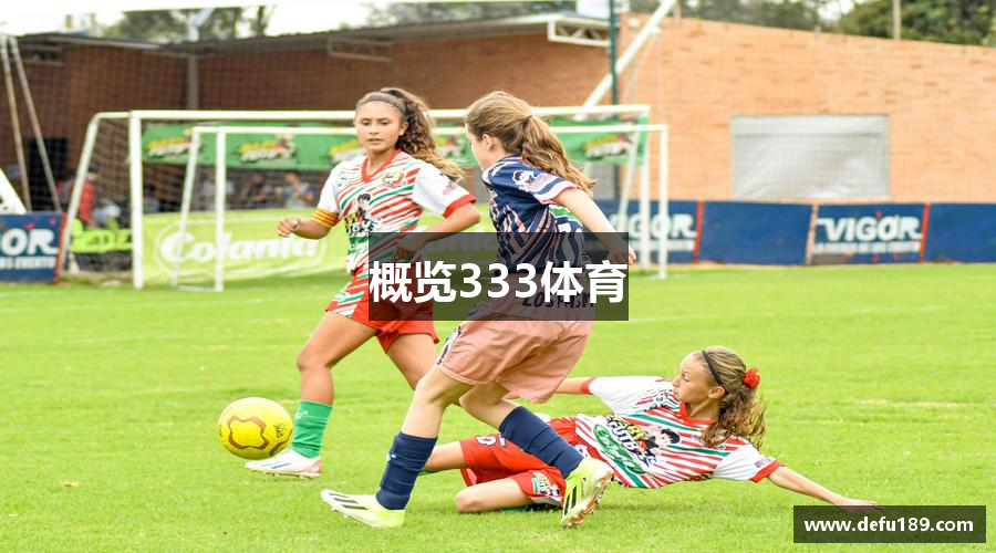 概览333体育